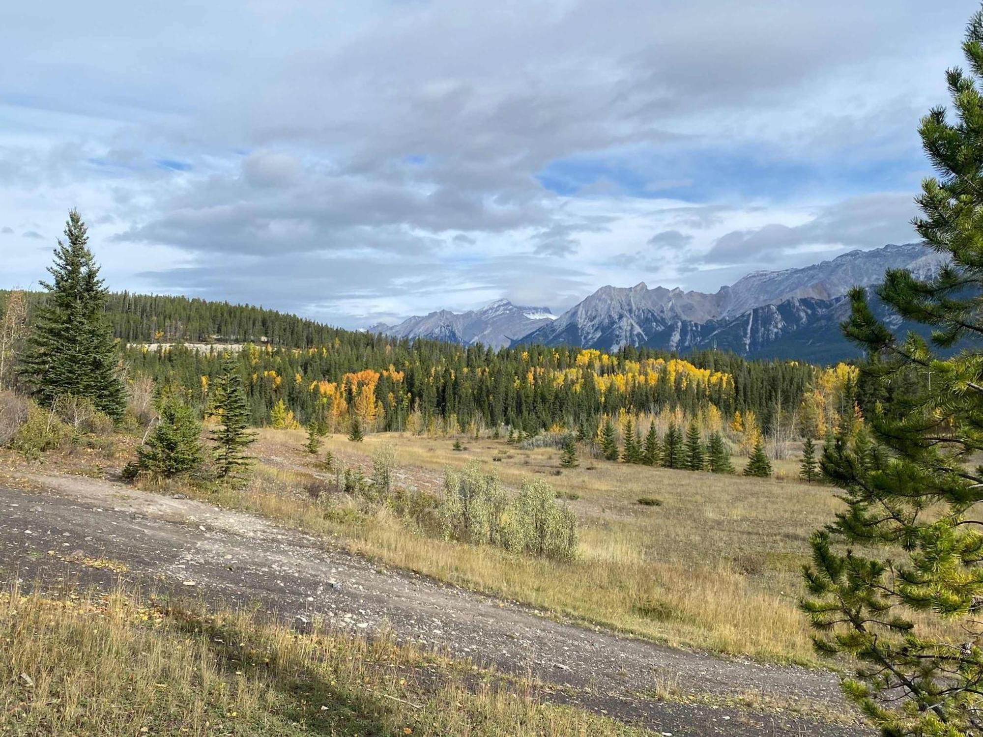 Premium King With Views And Pool Holiday home Canmore